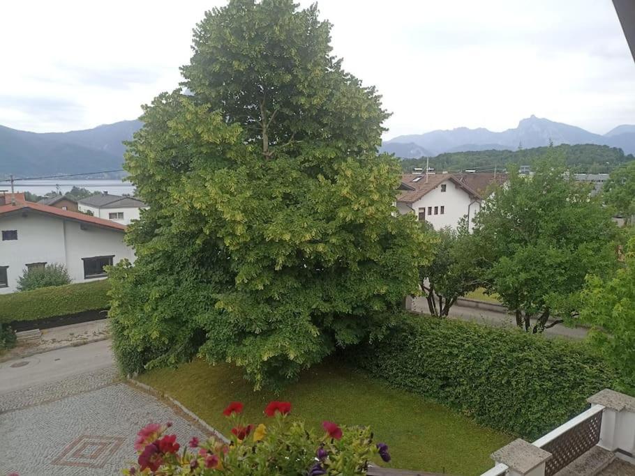 Ferienwohnung Guetl Am Weg อัลท์มุนสเตอร์ ภายนอก รูปภาพ